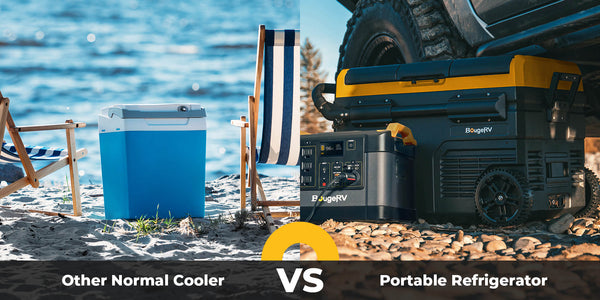 Cooler vs. Portable Refrigerator: Which Is Better?