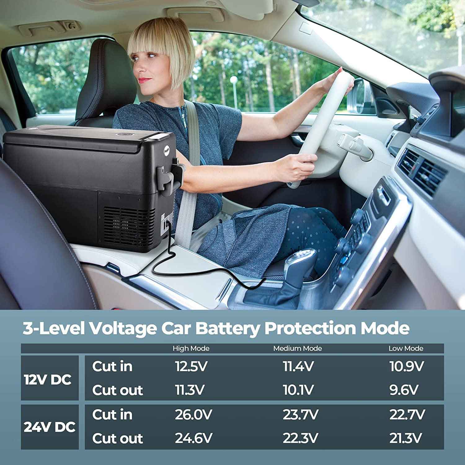 car refrigerator battery protection mode